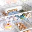 Refrigerator air purifier device in fridge with eggs, vegetables, and donut.